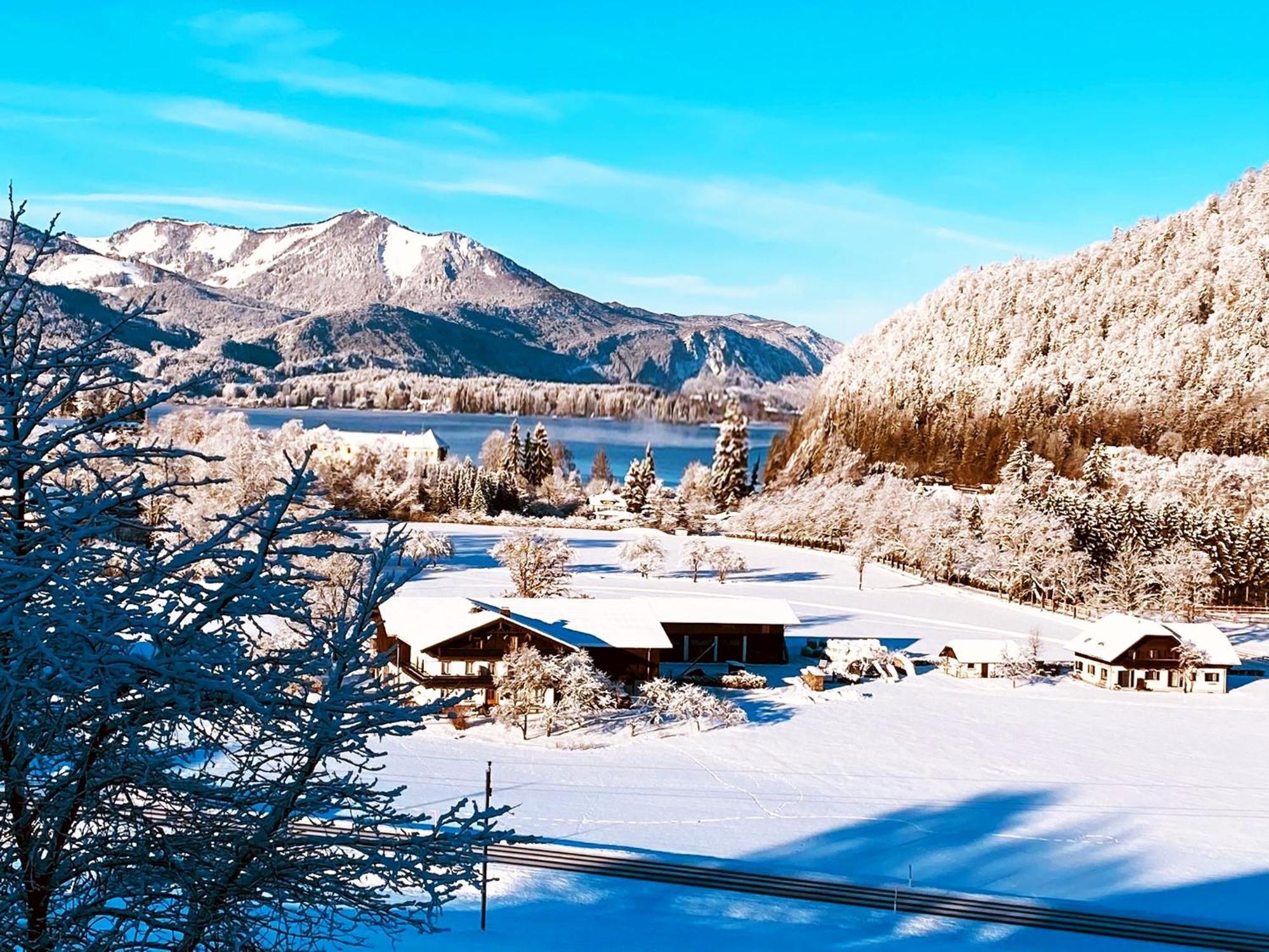 Apartment Wolfgangsee Seeblickplatzl *