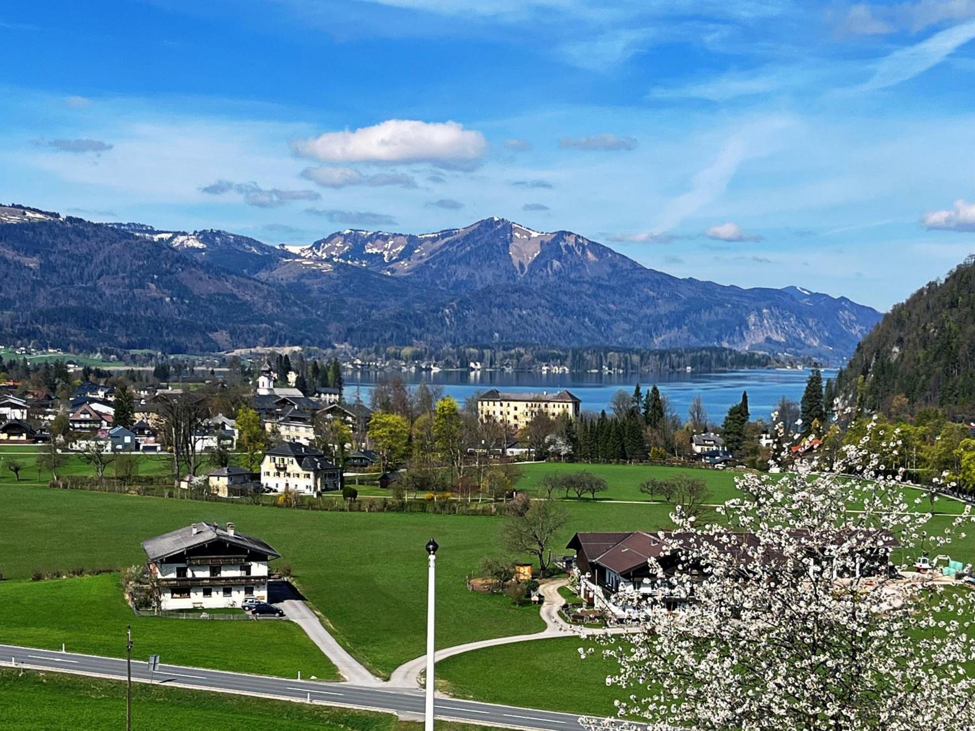 Wolfgangsee Seeblickplatzl